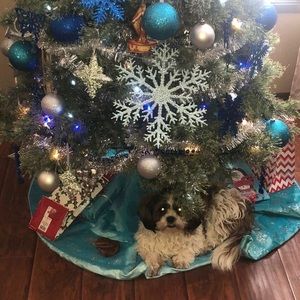 Meet your Posher, Jay